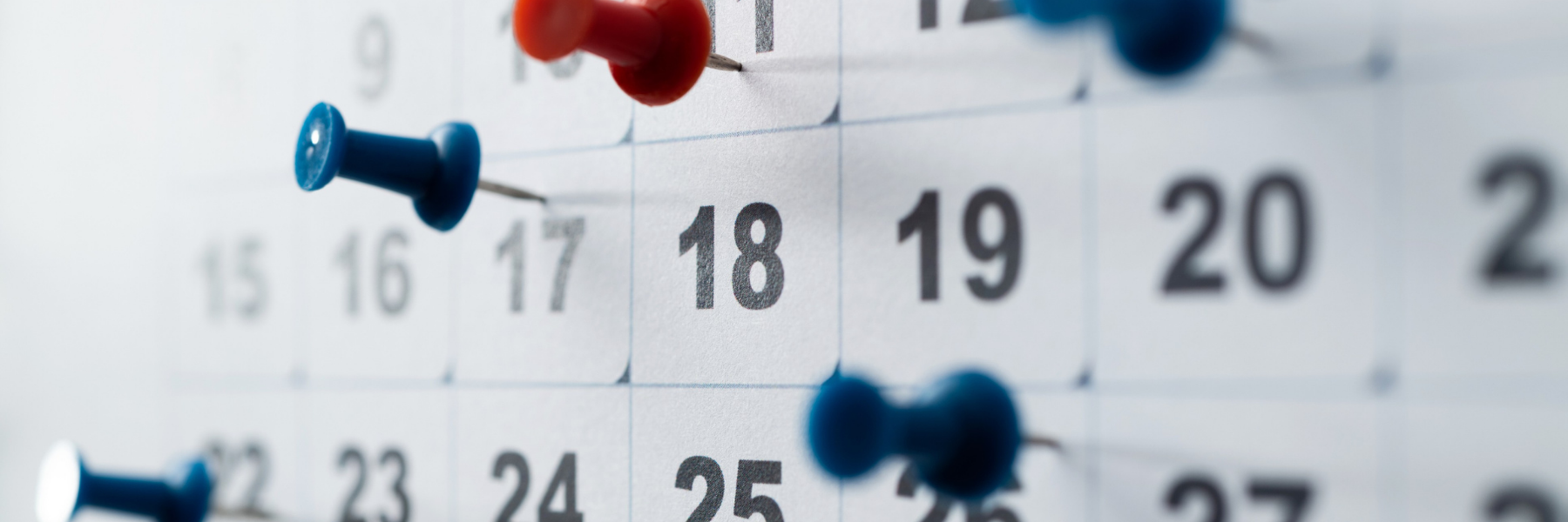 Pinnadeln auf einem Kalender in Nahaufnahme.
